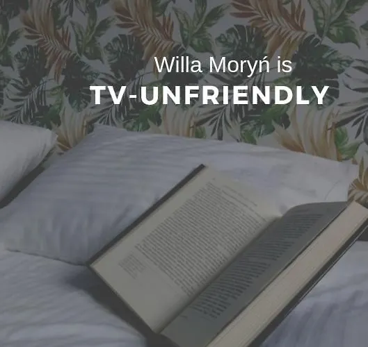 Willa Moryn 3*