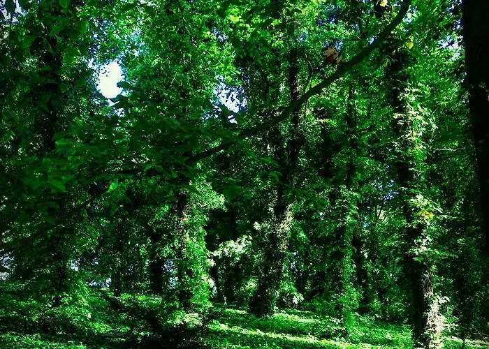 Willa Moryn 3* Moryn