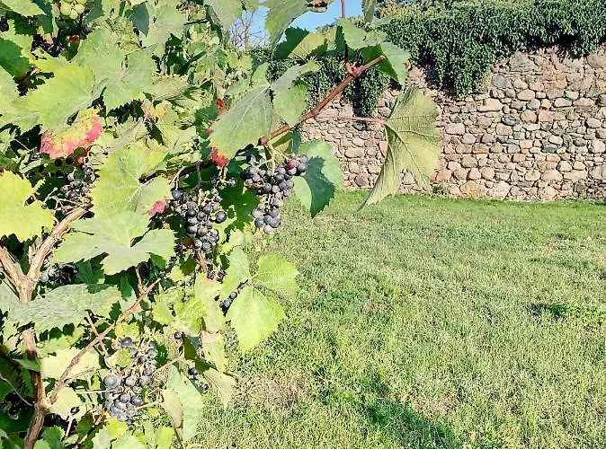 Bed & Breakfast Willa Moryn 3*